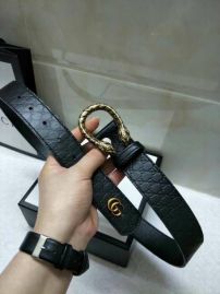 Picture of Gucci Belts _SKUGucciBelt34mmX95-115CM7D034686